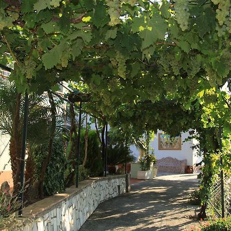 B&B Il Grappolo Anacapri (Isola di Capri) Exterior foto