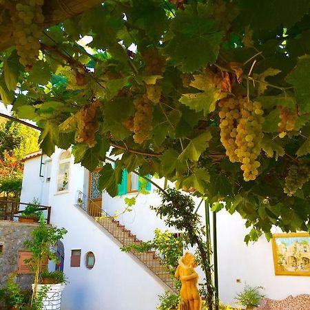 B&B Il Grappolo Anacapri (Isola di Capri) Exterior foto