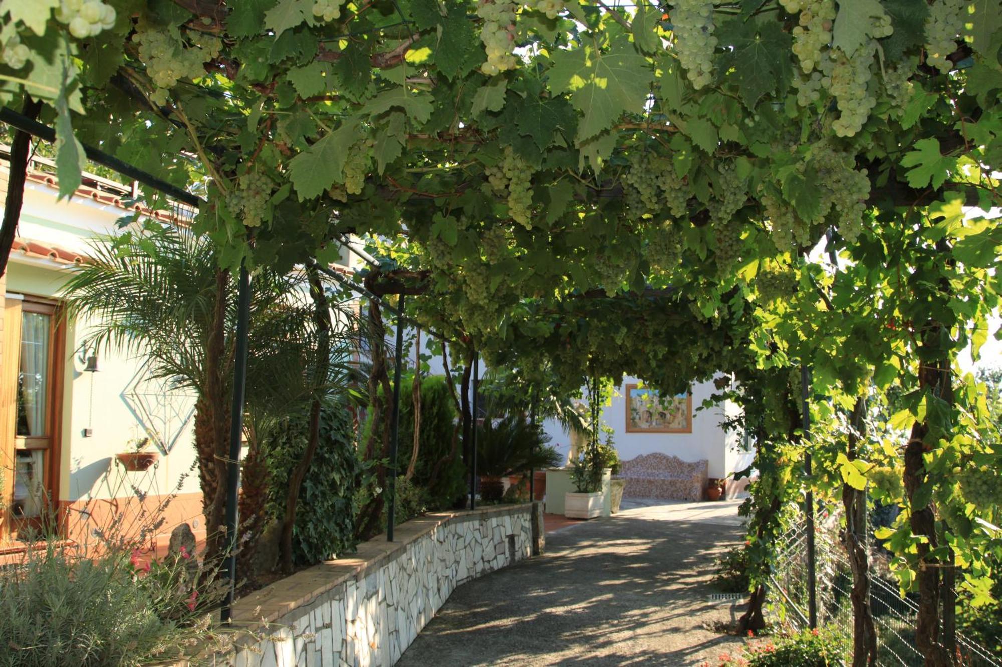 B&B Il Grappolo Anacapri (Isola di Capri) Exterior foto