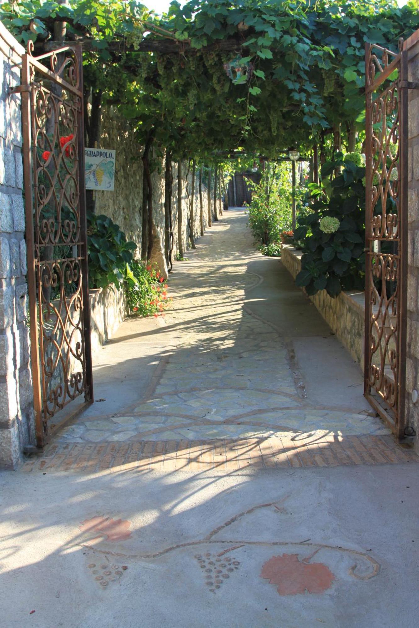 B&B Il Grappolo Anacapri (Isola di Capri) Exterior foto