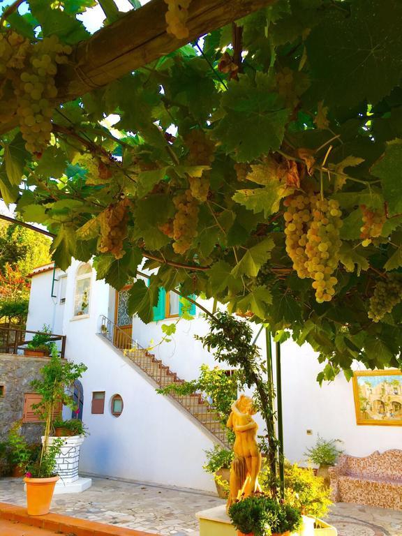 B&B Il Grappolo Anacapri (Isola di Capri) Exterior foto