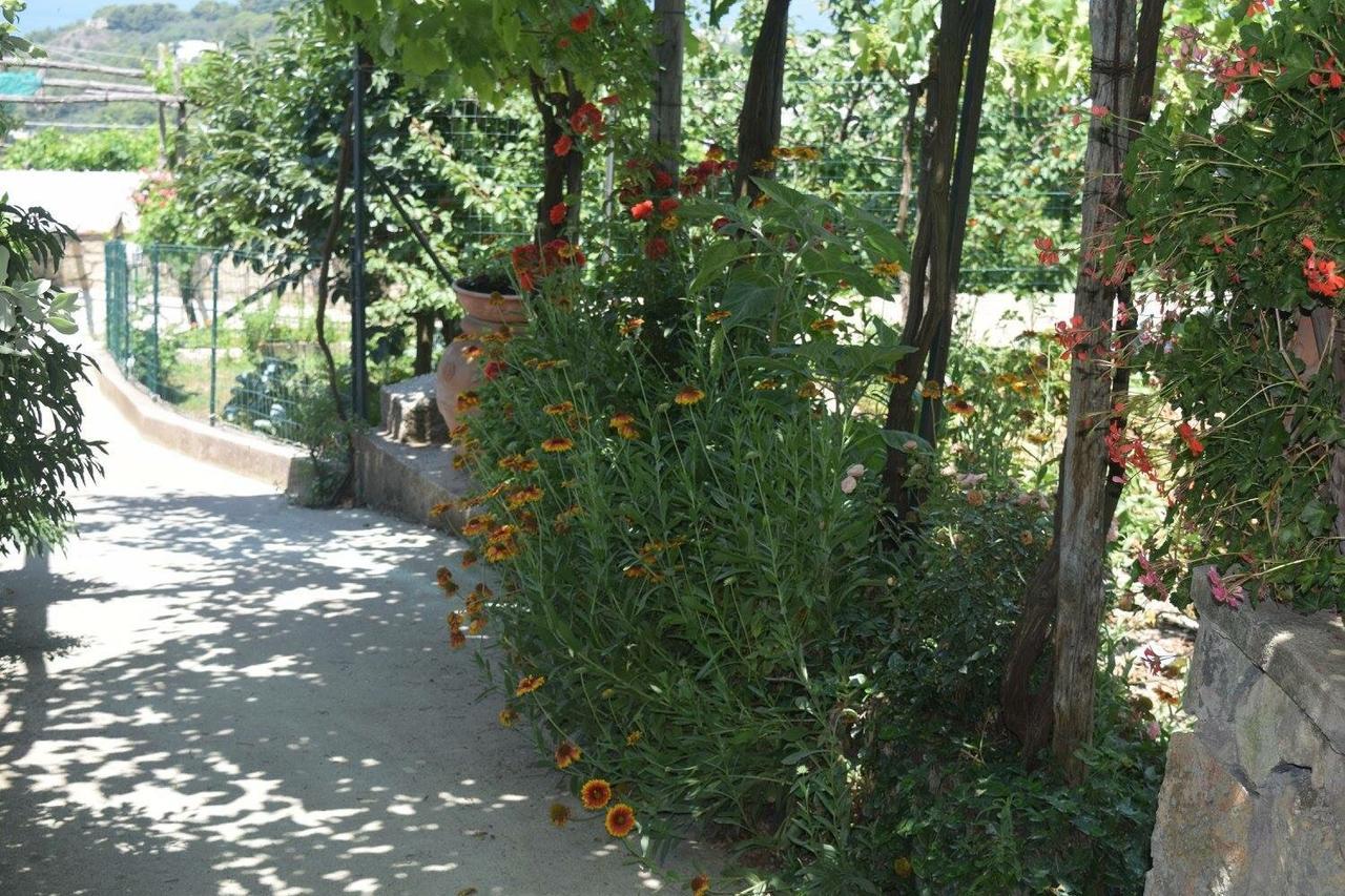 B&B Il Grappolo Anacapri (Isola di Capri) Exterior foto
