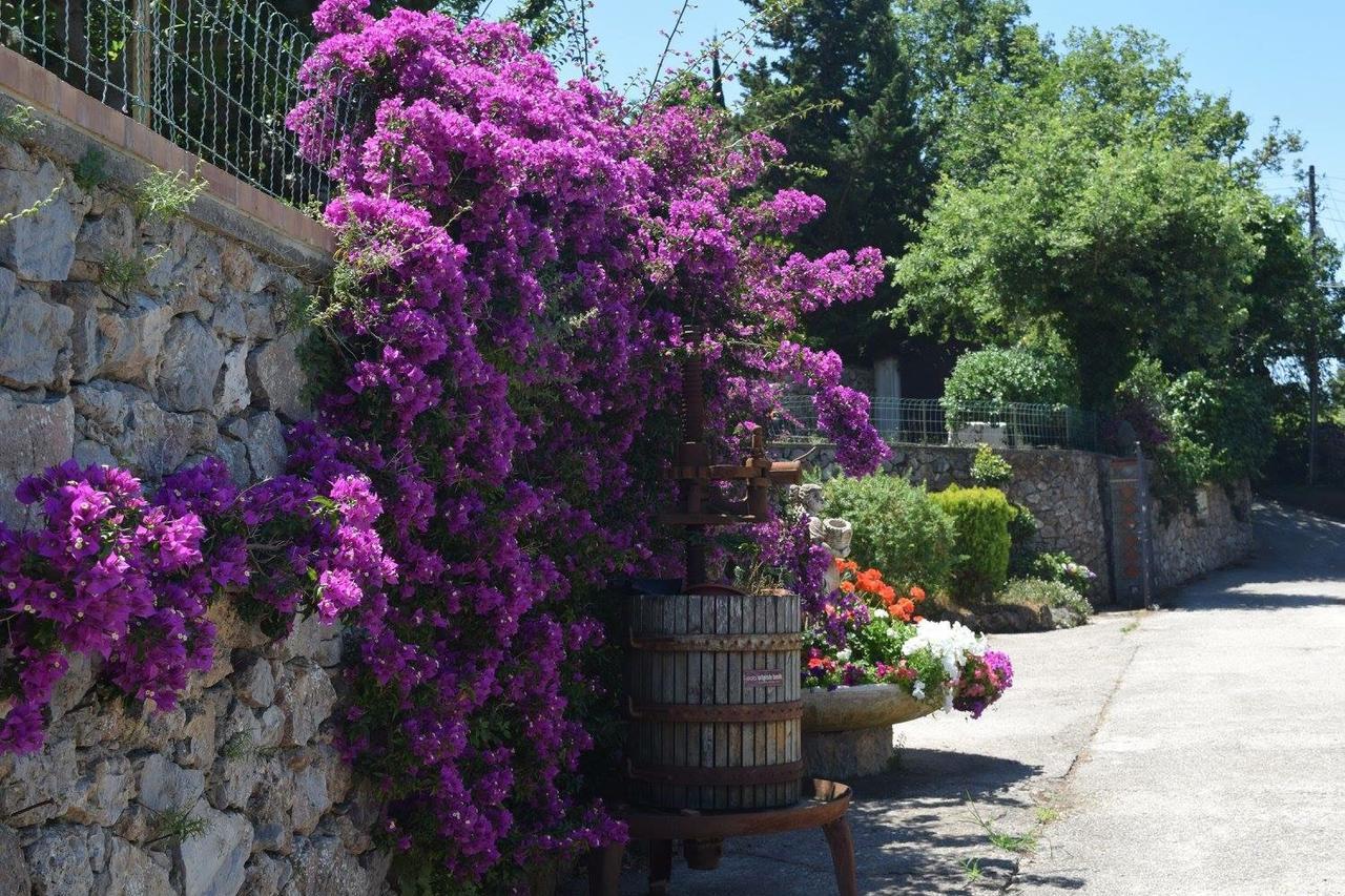 B&B Il Grappolo Anacapri (Isola di Capri) Exterior foto